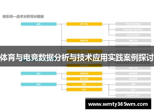 体育与电竞数据分析与技术应用实践案例探讨