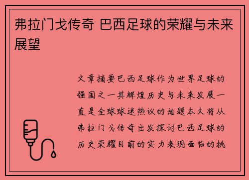 弗拉门戈传奇 巴西足球的荣耀与未来展望